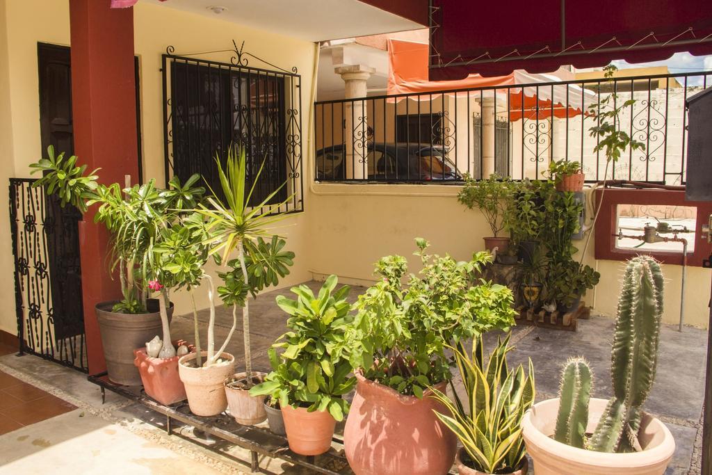 فيلا La Casa Del Chac ميريدا المظهر الخارجي الصورة
